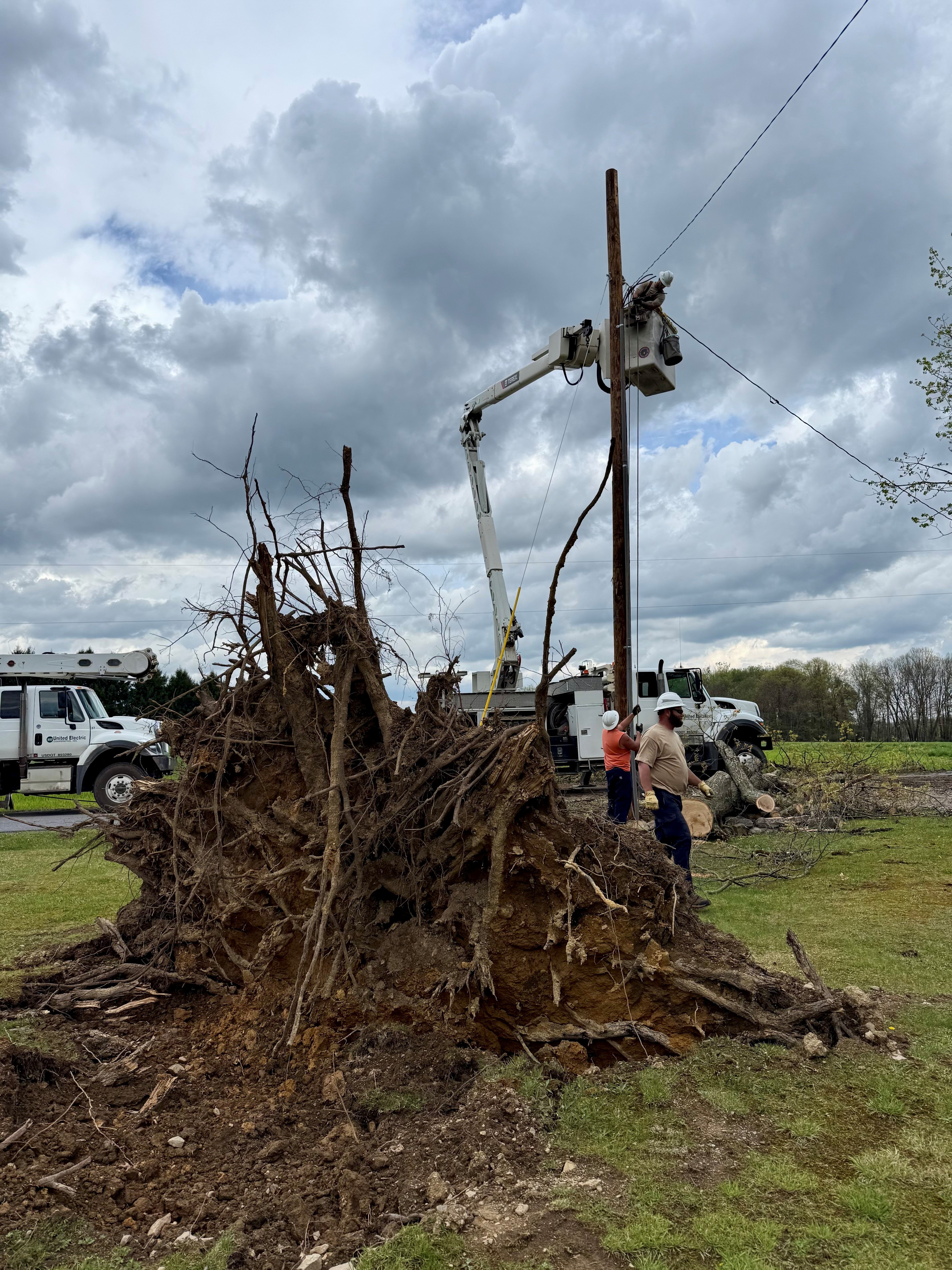 bucket tree damage