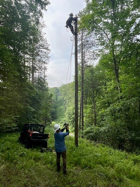 linemen at work